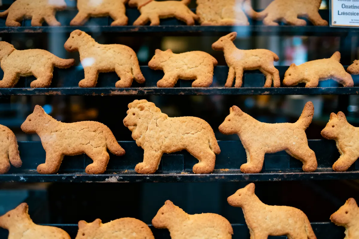 Biscuits en forme d'animaux alignés sur trois étagères dans une vitrine de pâtisserie.