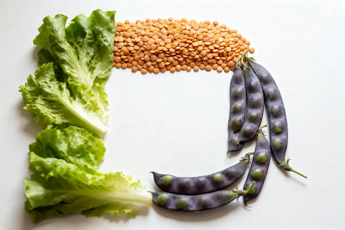 Légume en l : liste complète, idées cuisine et astuces